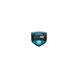 MOTOSEPETİM 250NK 3D KABARTMALI SİPERLİK CAMI STİCKER 9