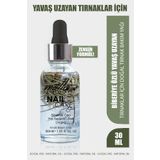 Motto Plus Professional Yavaş Uzayan Tırnaklar İçin Biberiye Özlü Doğal Tırnak Bakım Yağı 30ml