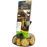 Motto Ticaret Mey Ithalat® 6414 Misket Dinozor 15+1 4A 25D - Renkli