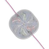 Motto Ticaret Powermaster 12 Volt 3 Watt Karışık (R+G+B) Yanıp Sönen 6565-2835 Modül LED - Çok Renkli