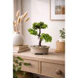 Mottogo 1 Adet Yapay Yeşil Bonsai Ağacı - Saksılı Yapay Bitki