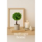 Mottogo Dekoratif Şimşir Yapay Bitki | Tek Adet