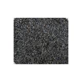 MOYASHOP 1 Kg Kızıştırıcı Konuşturucu Nijer Yem - Kuş Yemi - Yem