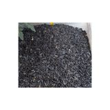 Moyashop By Tuna Kuruyemiş Papağan Siyah Çekirdek Yemi Kuş Yemi 1 Kg