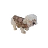 MPZ PETS Kedi ve Köpek Kıyafeti & Elbisesi Bej Yelek Lila XL