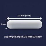 Mr. Crowley Manyetik Balık 20 mm x 6 mm Plastik Silindirik Laboratuvar 1 Adet Dayanıklı - 20mm x 6