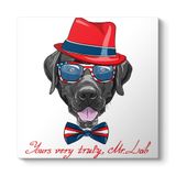 Mr. Labrador Tablosu 30 x 30