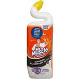 Mr Muscle Lavanta Kokulu Çamaşır suyu Katkılı Tuvalet Temizleyici 750 mL
