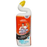 Mr Muscle Marine Kokulu Çamaşır suyu Katkılı Tuvalet Temizleyici 750 mL