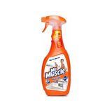 Mr Muscle Mutfak Sprey Temizleyici (750 ml)