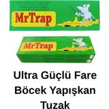 Mr Trap Fare Haşere Böcek Yapışkanı Kullanıma Hazır Fare Kapanı