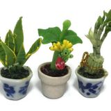 Mr_air_thai_Miniature Cactus and Flower 3 adet Minyatür Çiçek Kil Bebek Evi Peri Bahçesi Mini Bitki Ağaçları Seramik Boya Mobilya Demetleri Yapay Çiçekler Minik Orkide #084