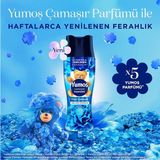 Mrdiy Yumoş Çamaşır Parfümü Mavi Şakayık 200G 3 Adet