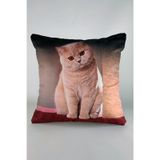 Mrs.Gugar Kedi Desenli Kırlent Kılıfı -119