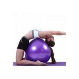 Mrt 65 Cm Pilates Topu Ve Şişirme Pompası, Yoga Plates Egzersiz Topu, Tek Ebat, pkl-pt05I, MOR