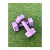 Mrt Dambıl Ağırlık Seti 1 Kg X 2 Adet Mor, MRT646667R4