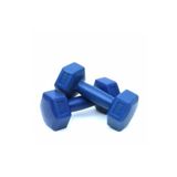 MRT SPORT Spor 1 Kg X 2 Adet Deluxe Pvc Kaplama Mavi Plastik Dambıl Ağırlık Seti