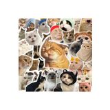Ms Major Selection 100'Li Çılgın Kedi Sticker Set Laptop Notebook Tablet Sticker Seti