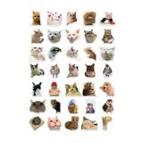 Ms Major Selection "Kedi Mood Sticker Seti" 35 Adet - Bullet Journal - Ajanda -Planner - Defter - Laptop-Tablet Için