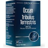 Ms Orzax Ocean Tribulus Terrestris 500 Mg 60 Kapsül