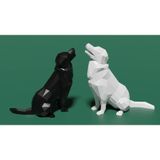 Msd Design Beyaz Masaüstü Biblo Golden Köpek Tasarımlı Aksesuar Dekorasyon 1 Adet