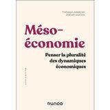 Mésoéconomie: Penser la pluralité des dynamiques économiques