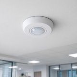 MSP 360 Derece Sıva Üstü Hareket Sensörü