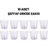 MSP Saksısı Kristal Orkide Saksı 10 Adet 1,5 Litre Orkide Saksı Şeffaf Orkide Saksısı