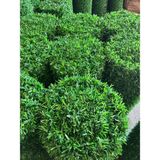 Msy Garden Fenc 100 cm x 8 mt Çim Çit Bahçe Teli Çimli Çit Teli Tel Örgü - Yeşil