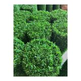 msy garden fenc Çim Çit Bahçe Teli, Yeşil, 180 cm x 6 m - 15 m