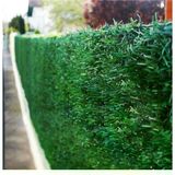 Msy Garden Fenc Hat Tel Çit Çim Çit Örgü Telli Bahçe Çiti 80 cm x 5 mt