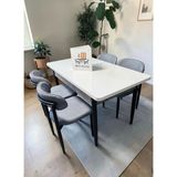 Msy Home 4 Kişilik Lina A.gri Kumaş 80*130 Beyaz Açılır Masa Sandalye Seti (Modern Seri)Siyah Iskelet - Açık Gri
