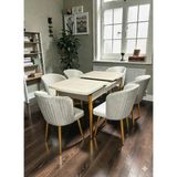 Msy Home 4 Kişilik Selin Serisi Gold Kelebek Traverten Kelebek Yemek Masası Takımı - Bej