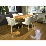 Msy Home 6 Kişilik Berya Ceviz Oval Masa Krom Ayak Yönsüz Kumaş Modern ve Şık Yemek Odası Takımı - Bej