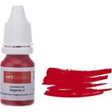 mt Kalıcı Makyaj Boyası/magenta
