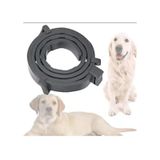 Mucit Home Köpek Pire Ve Bit Kovucu Engelleyeci Tasma Boyunluk 62 Cm Çok Renkli