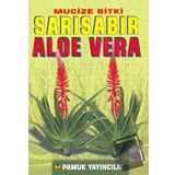 Mucize Bitki Sarı Sabır Aloe Vera (Bitki-017)