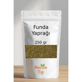 Mucize Tıp Funda Yaprağı Kurusu Dökme 250 gr