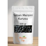 Mucize Tıp Yaban Mersini Kurusu Dökme 500 gr
