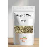 Mucize Tıp Yoğurt Otu Dökme 50 gr