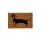 Mudo Concept DOG KAPI PASPAS 40X60 CM