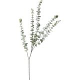 Mudo Home OKALİPTÜS DAL ÇİÇEK 76 CM - Yeşil