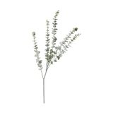 Mudo Home Okaliptüs Dal Çiçek 76cm Yeşil