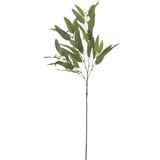 Mudo Home OKALİPTÜS YEŞİL DAL ÇİÇEK 78 CM - Yeşil