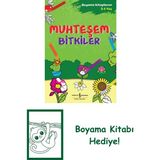 Muhteşem Bitkiler – Boyama Kitaplarım 3-4 Yaş + Boyama Kitabı