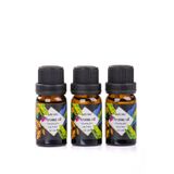MUKKO HOME 3’lü Esansiyel Uçucu yağ 3x10ml HİLTON Kokulu Buhurdanlık Yağı set, Difüzör, Banyo ve Oda Kokusu