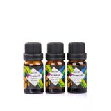 MUKKO HOME 3’lü Esansiyel Uçucu yağ 3x10ml MON PARIS Kokulu Buhurdanlık Yağı set, Difüzör, Banyo ve Oda Kokusu