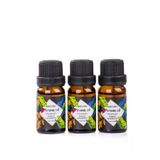 MUKKO HOME 3’lü Esansiyel Uçucu yağ 3x10ml Purple Magnolia Kokulu Buhurdanlık Yağı set, Difüzör ve Oda Kokusu