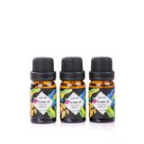 MUKKO HOME 3’lü Esansiyel Uçucu yağ 3x10ml vanilya Kokulu Buhurdanlık Yağı set, Difüzör ve Oda Kokusu