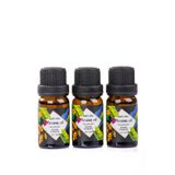 MUKKO HOME 3’lü Esansiyel Uçucu yağ 3x10ml warm powder Buhurdanlık Yağı set, Difüzör, Oda Kokusu